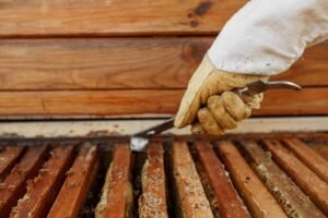 Preserve Your Home with Ridgefield Dry Rot Repair