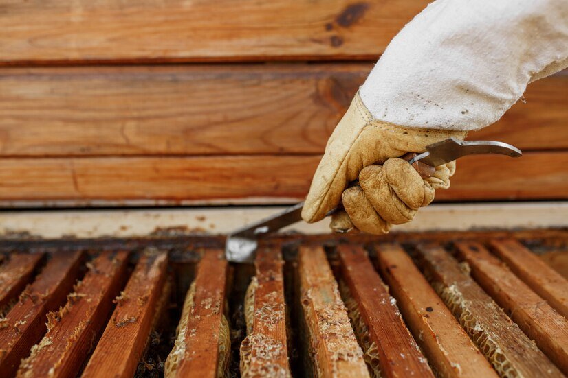 Preserve Your Home with Ridgefield Dry Rot Repair